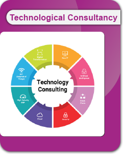 Technological Consultancy